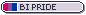 Bi Pride Button